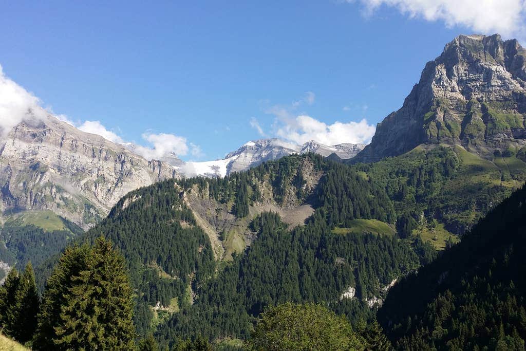 Vue depuis la terrasse