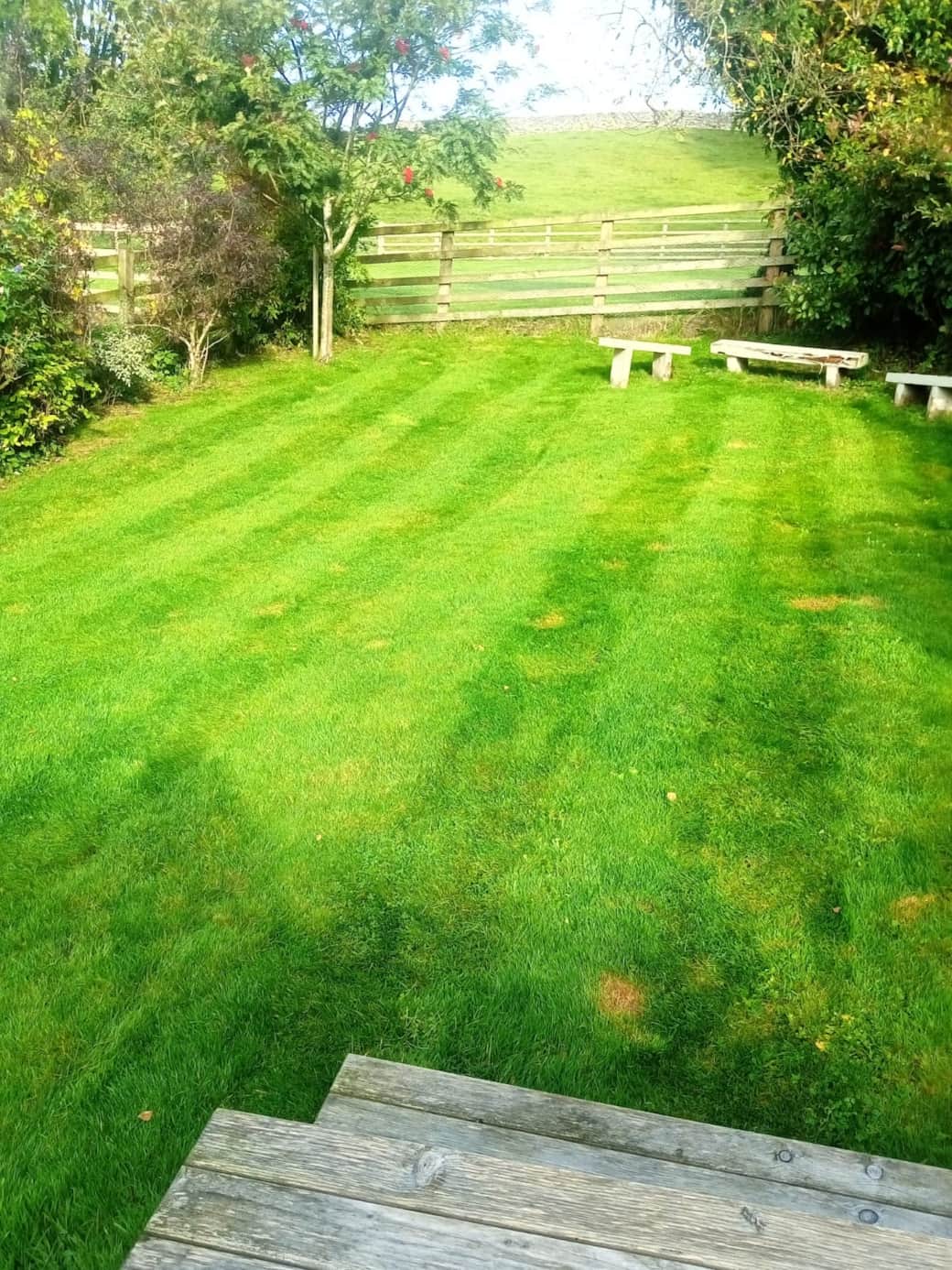 Back lawn