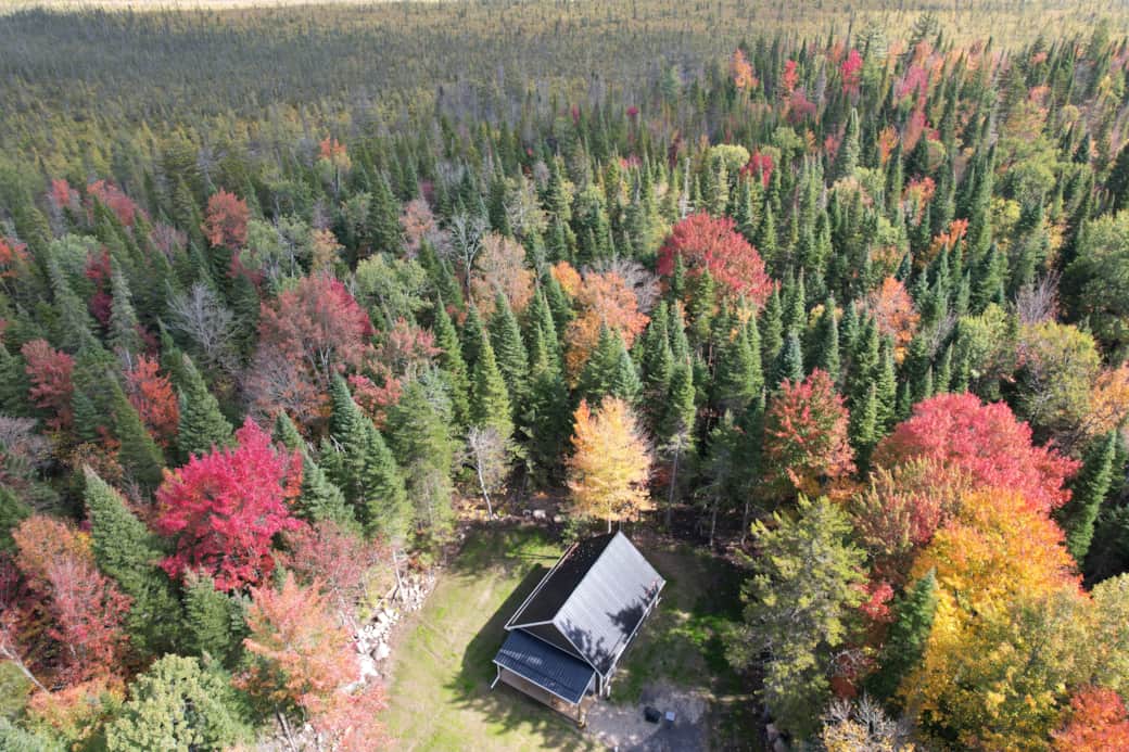 Fall scenic view