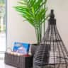 Rental image