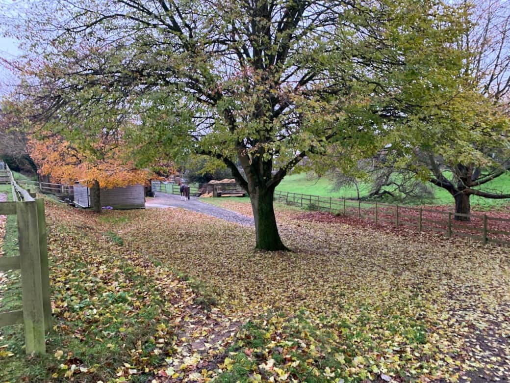 Stable views