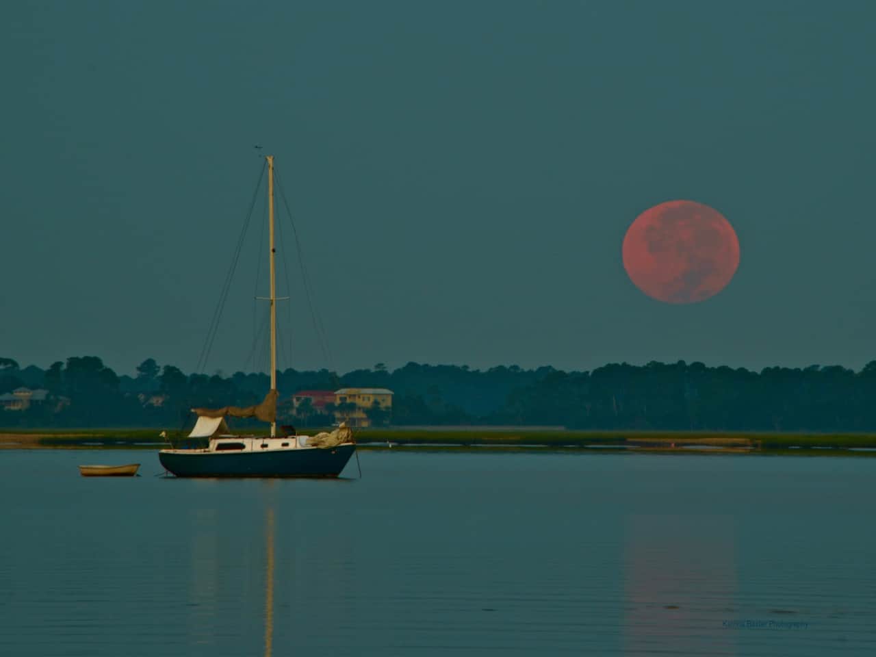 Blood moon by Katrina Baxter
