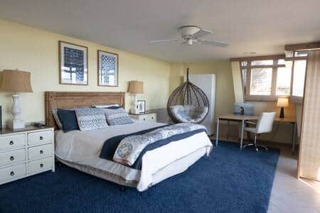 Lower level King primary bedroom with en suite