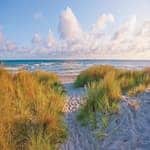 Strände in Heiligenhafen Steinwarder