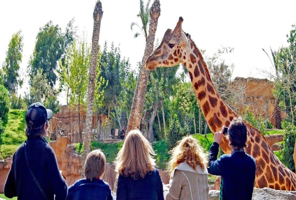 Zoológico Jerez - Apartamentos Turísticos Antonio Parra