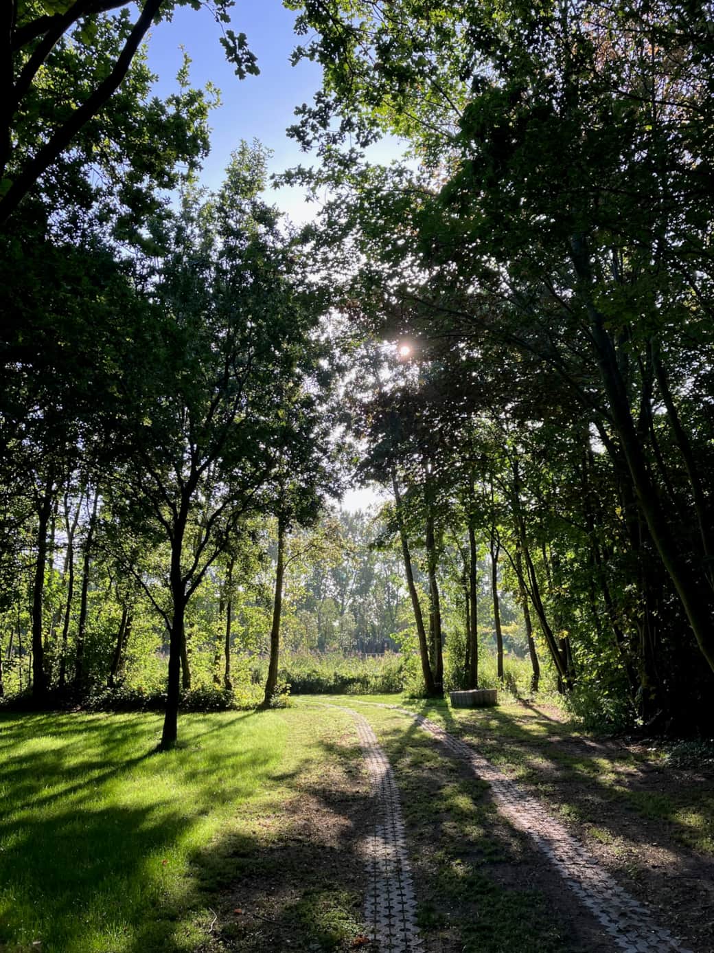 Oprijlaan door de bomen