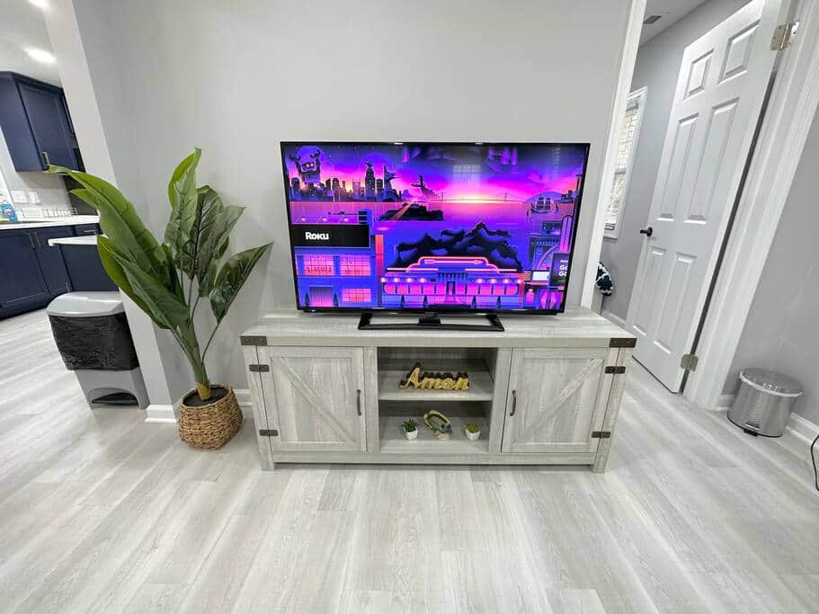 Roku TV with Netflix, Amazon Prime, etc.