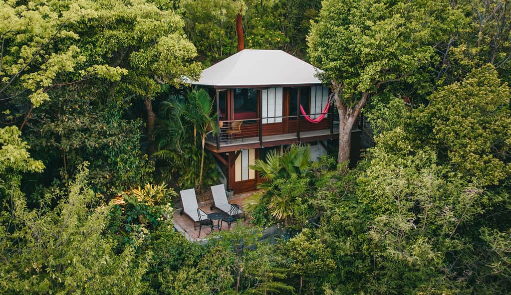 Teahouse Treehouse - literally surrounded by flowers and lush tropical forest