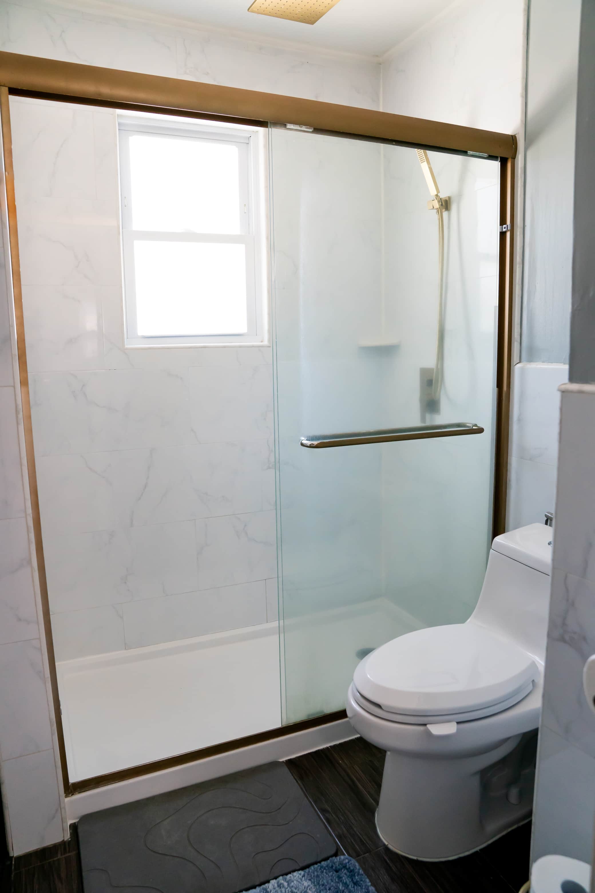 Bathroom Shower and throne.jpg