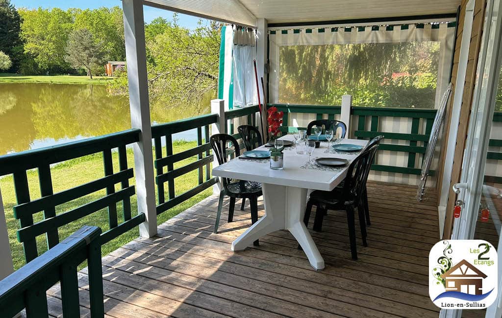 Esturgeon - Les 2 etangs Lion en Sullias - terrasse