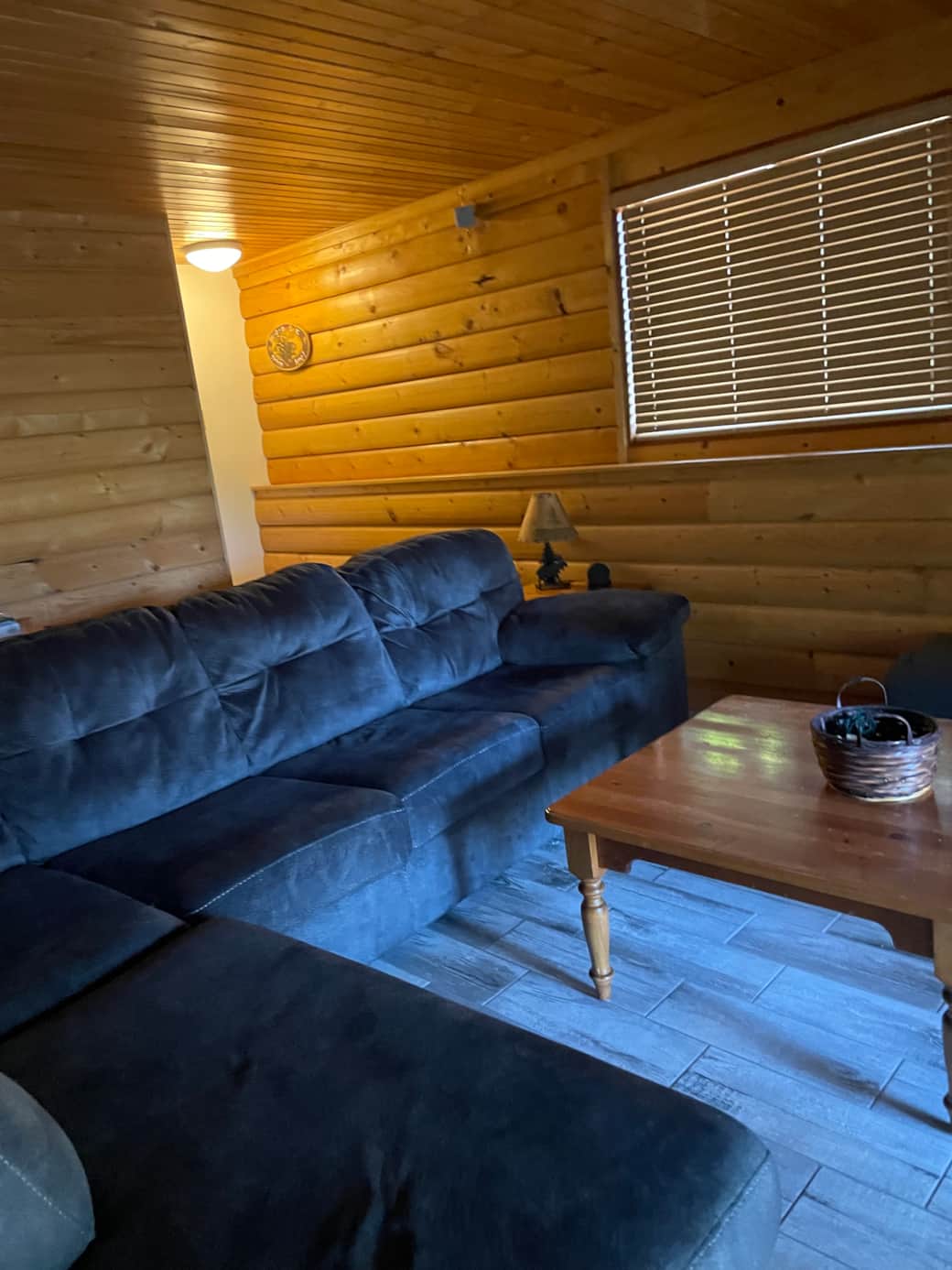 Basement Family room