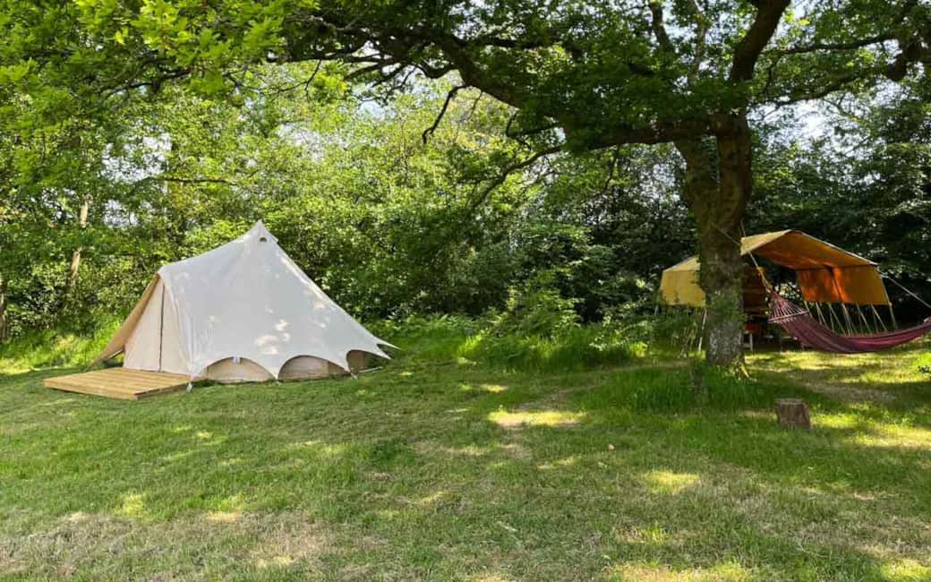Oak Tree nook Overview