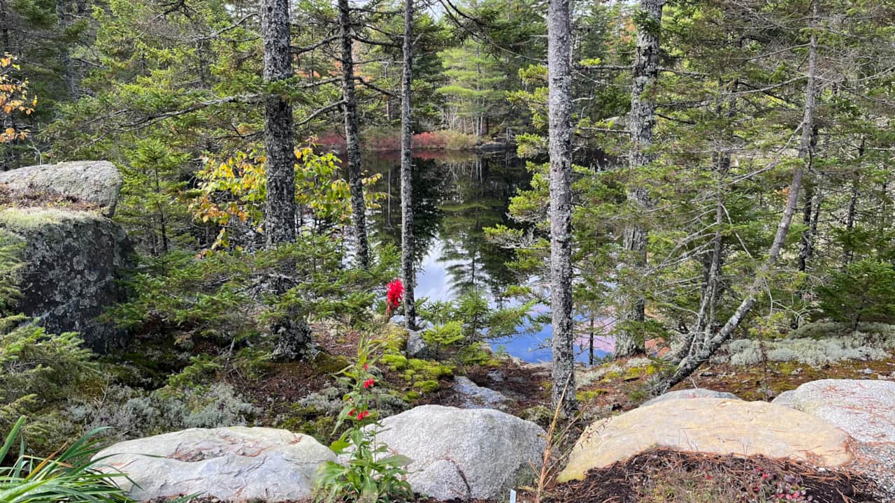 Quarry House - Copper Pond