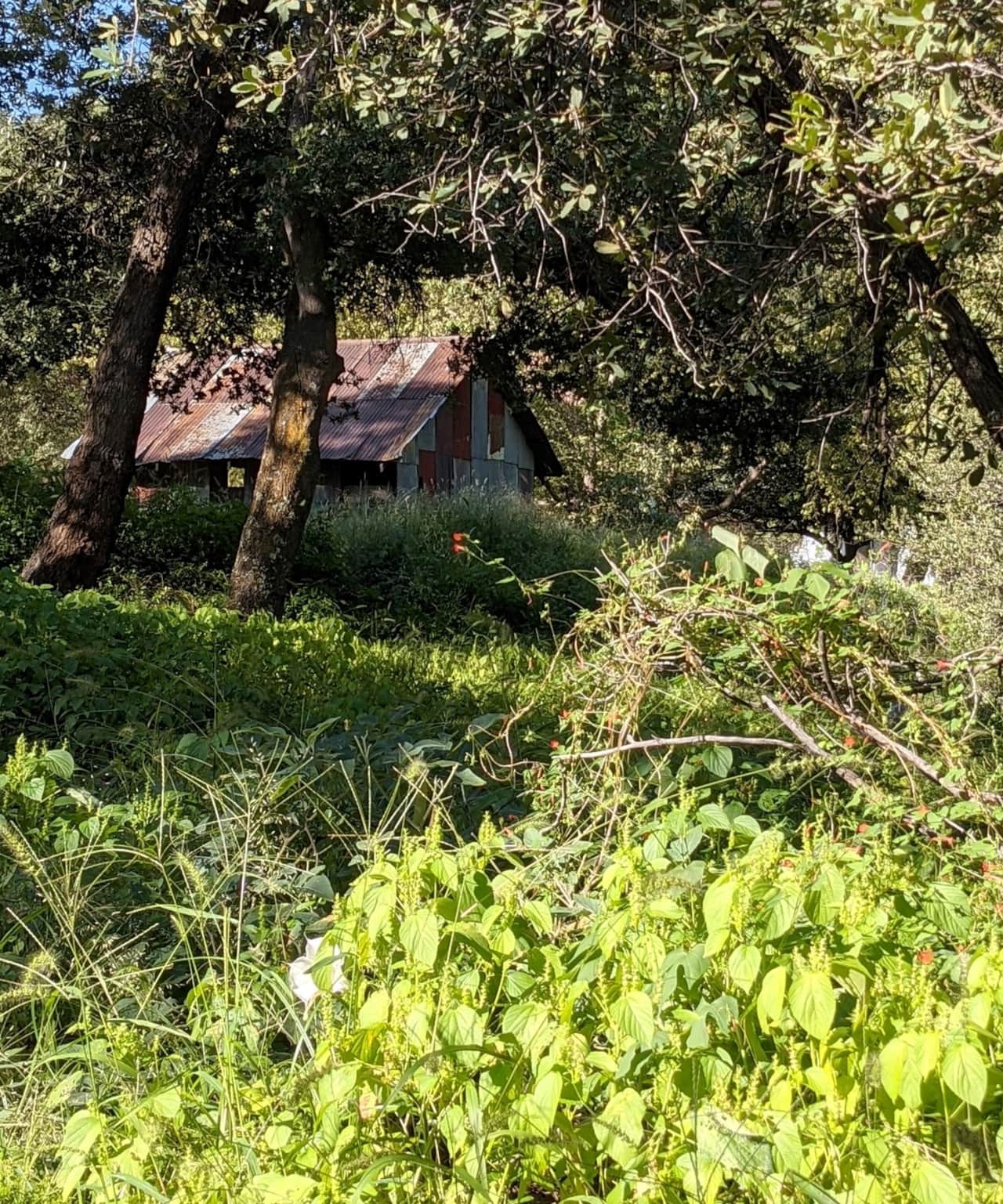 One of the old buildings on our neighbors property, The  Arizona Folklore Museum.  They are open and have amazing shows weekly.  Go to their website at https://arizonafolklore.com/   to learn more about this wonderful place we are glad to live next to.
