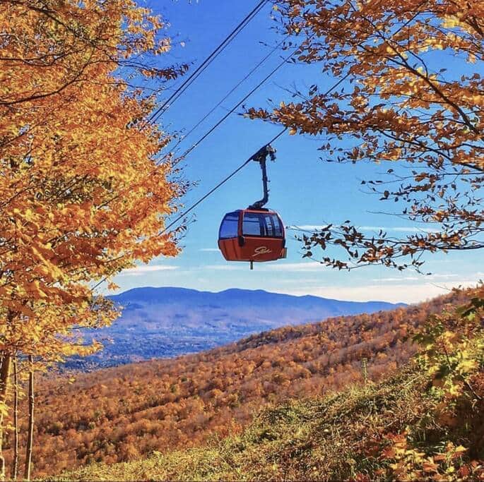 Fall Foliage-Skyride