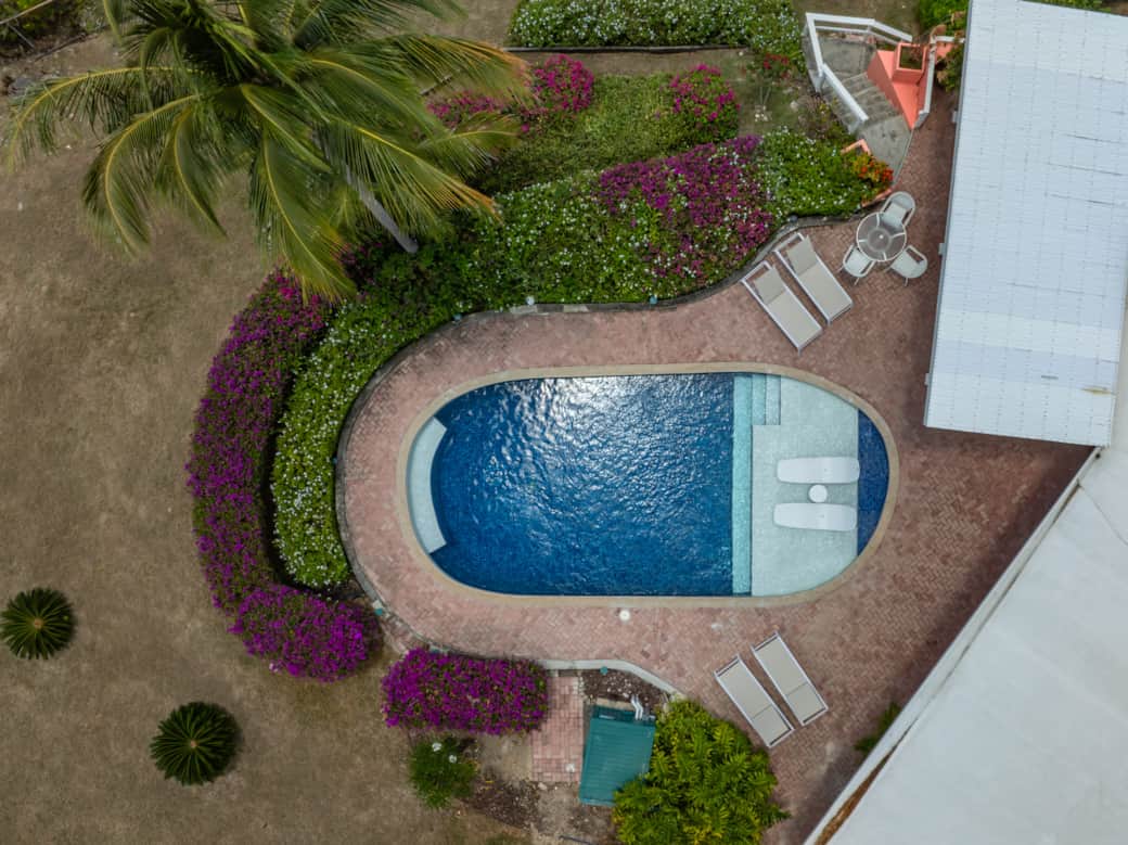 The Bougainvillea are spectacular