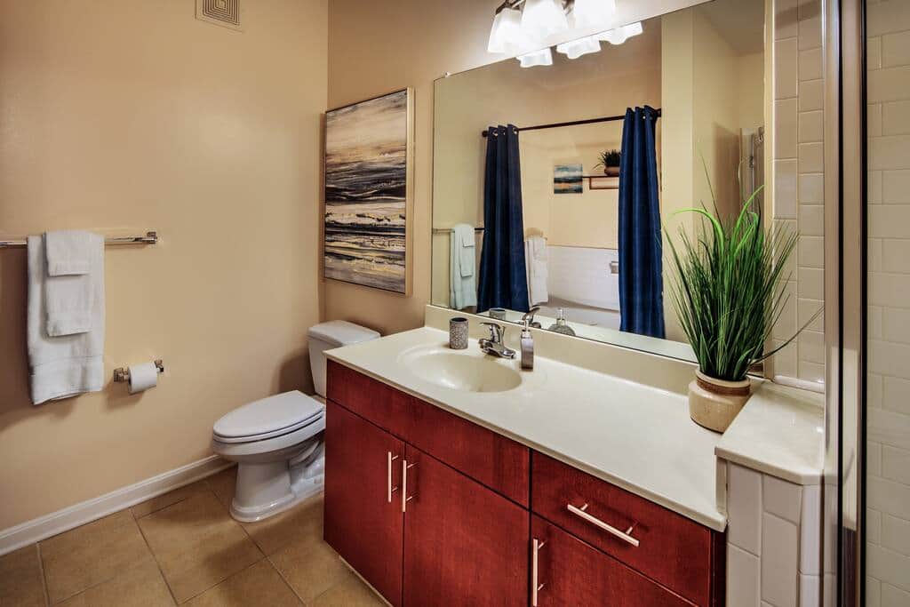 Master Bathroom View Three