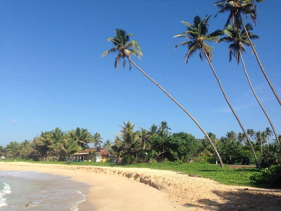 Sand + palm trees + clear water just down the road! (50 metres right!)