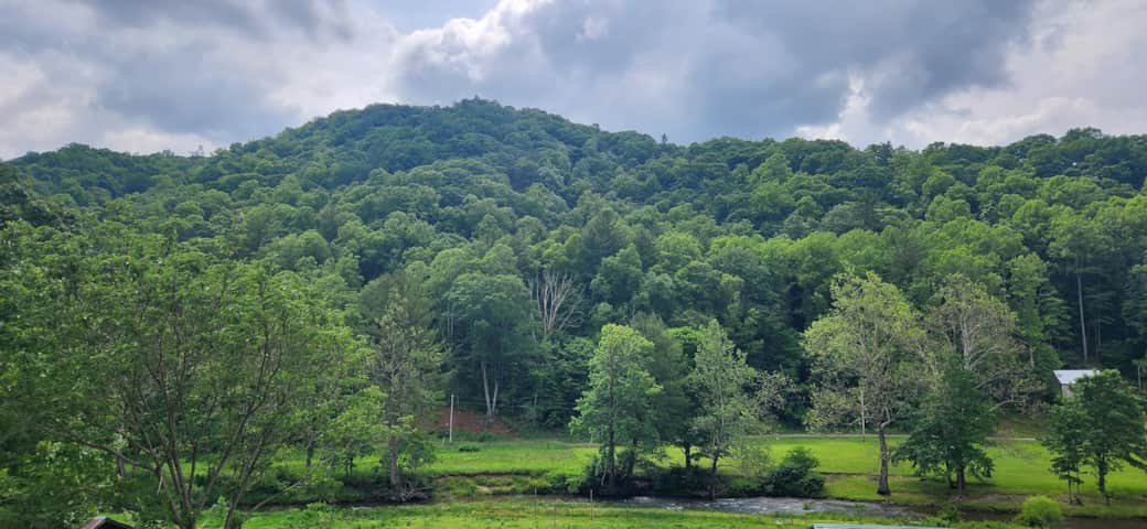 Your view from the porch. Your view from the porch.