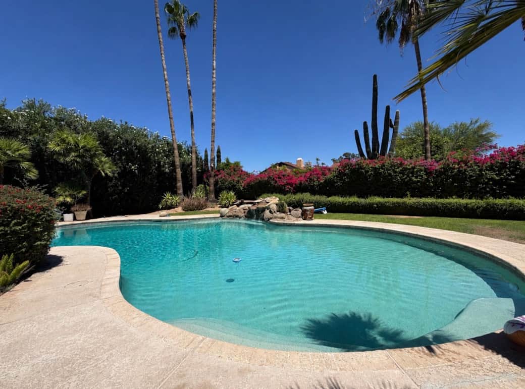 Oasis Pool Oasis Pool