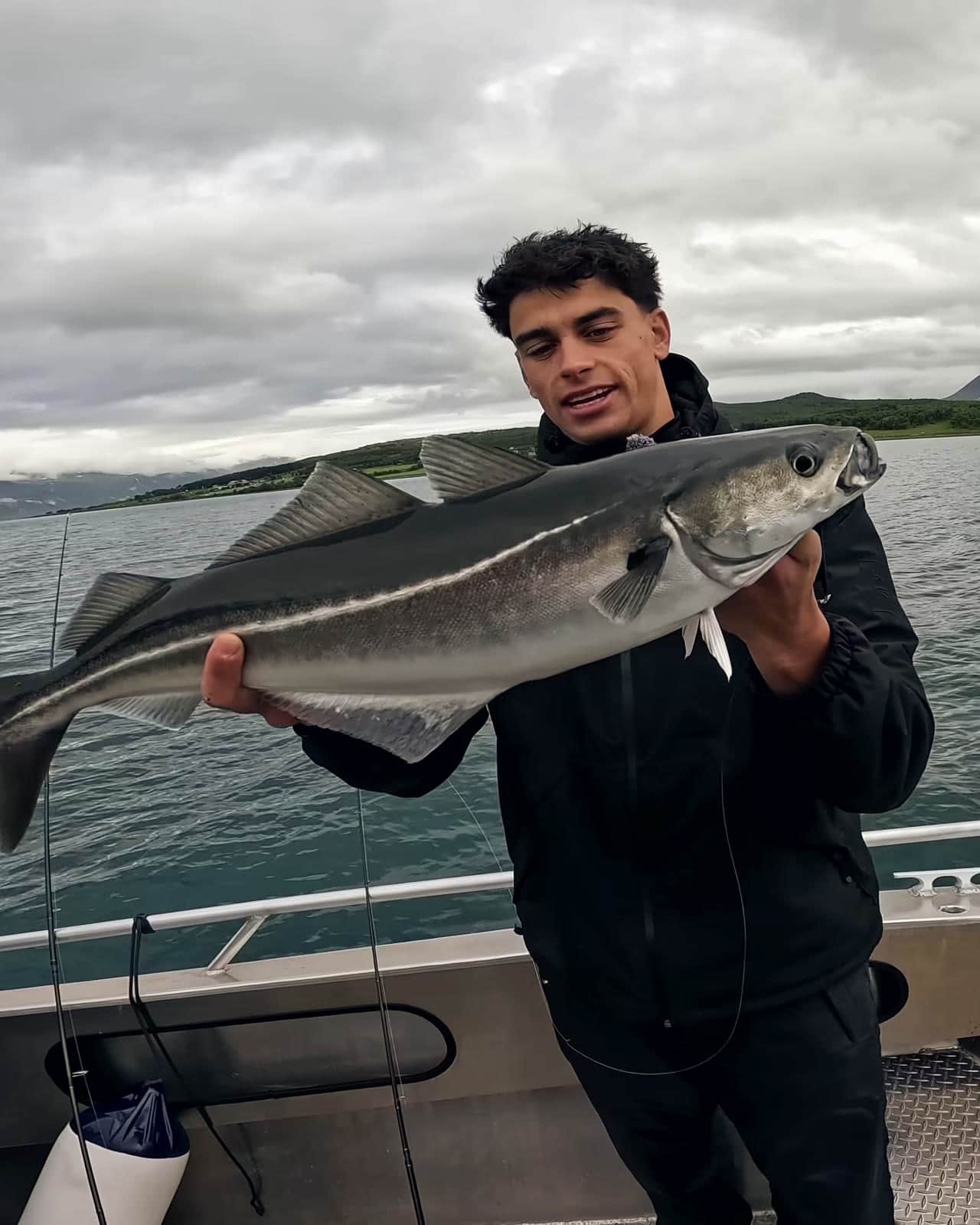 Angler hält einen großen Seelachs an Bord