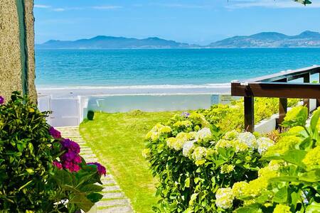 Canido Beach 6 by YBH