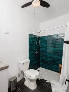 Master Bath with Shower