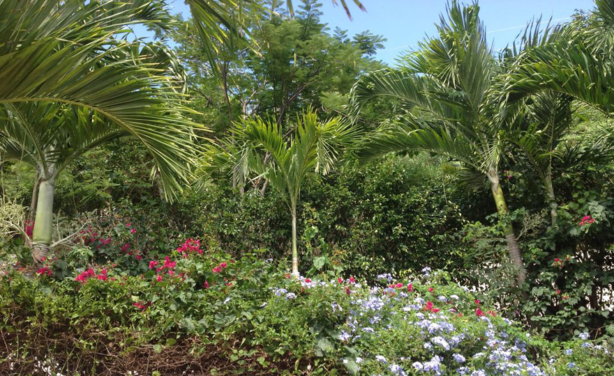 A view looking up from the swimming pool.
