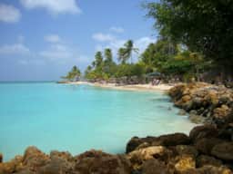 Coral Reef Villas