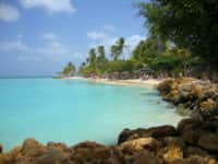 Coral Reef Villas