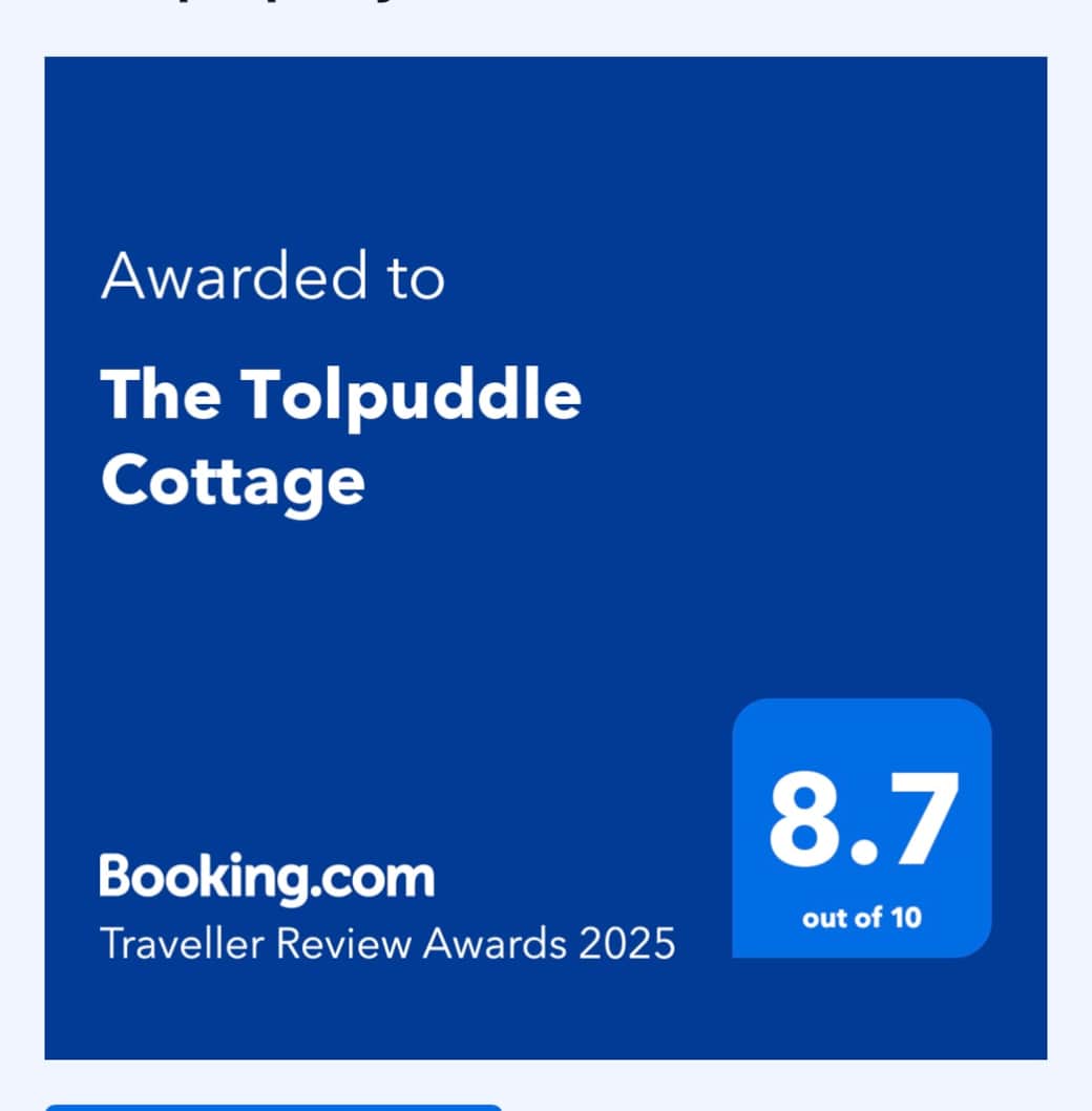 rating from Booking website
