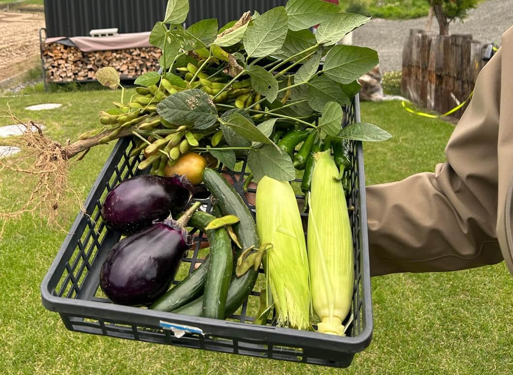 自家栽培の野菜を縁ENのお客様とお分けしています 自家栽培の野菜を縁ENのお客様とお分けしています