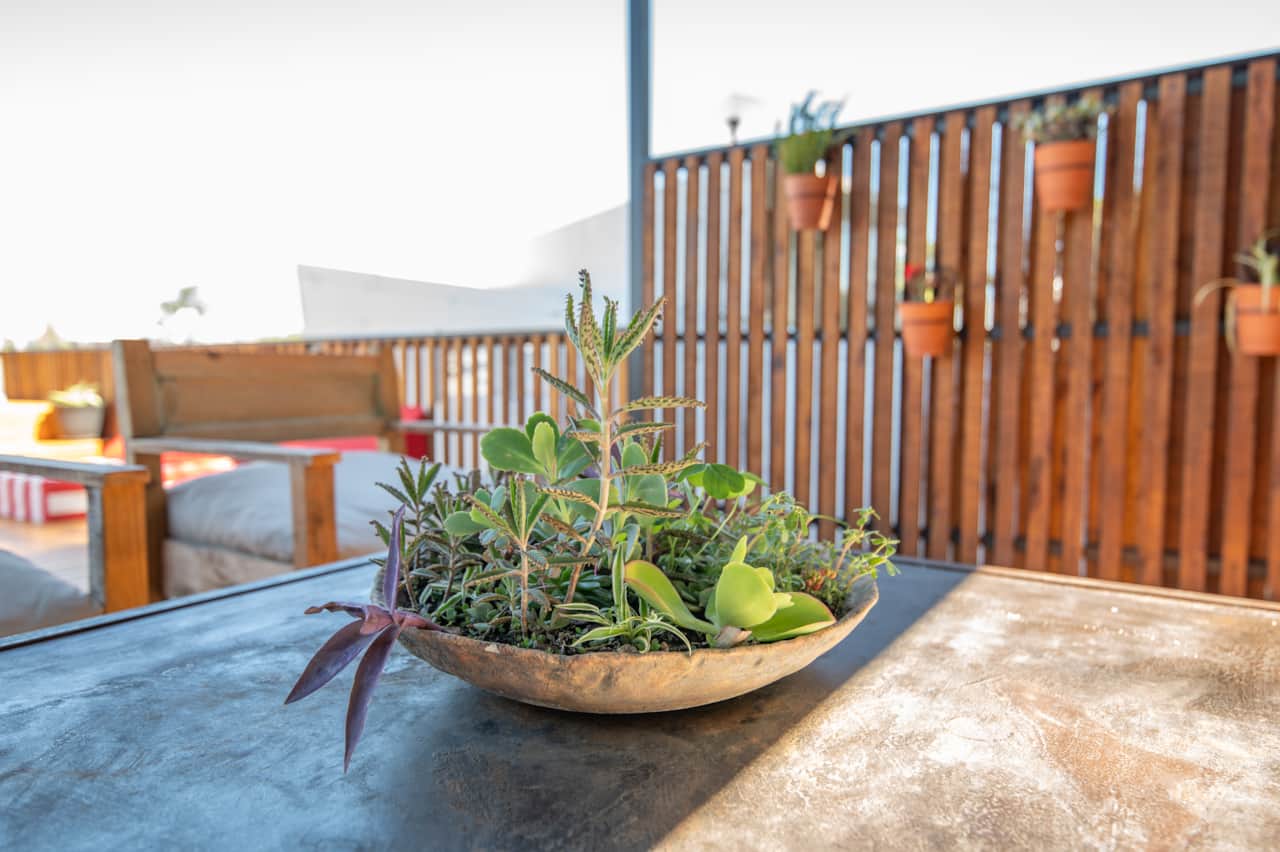 Terraza