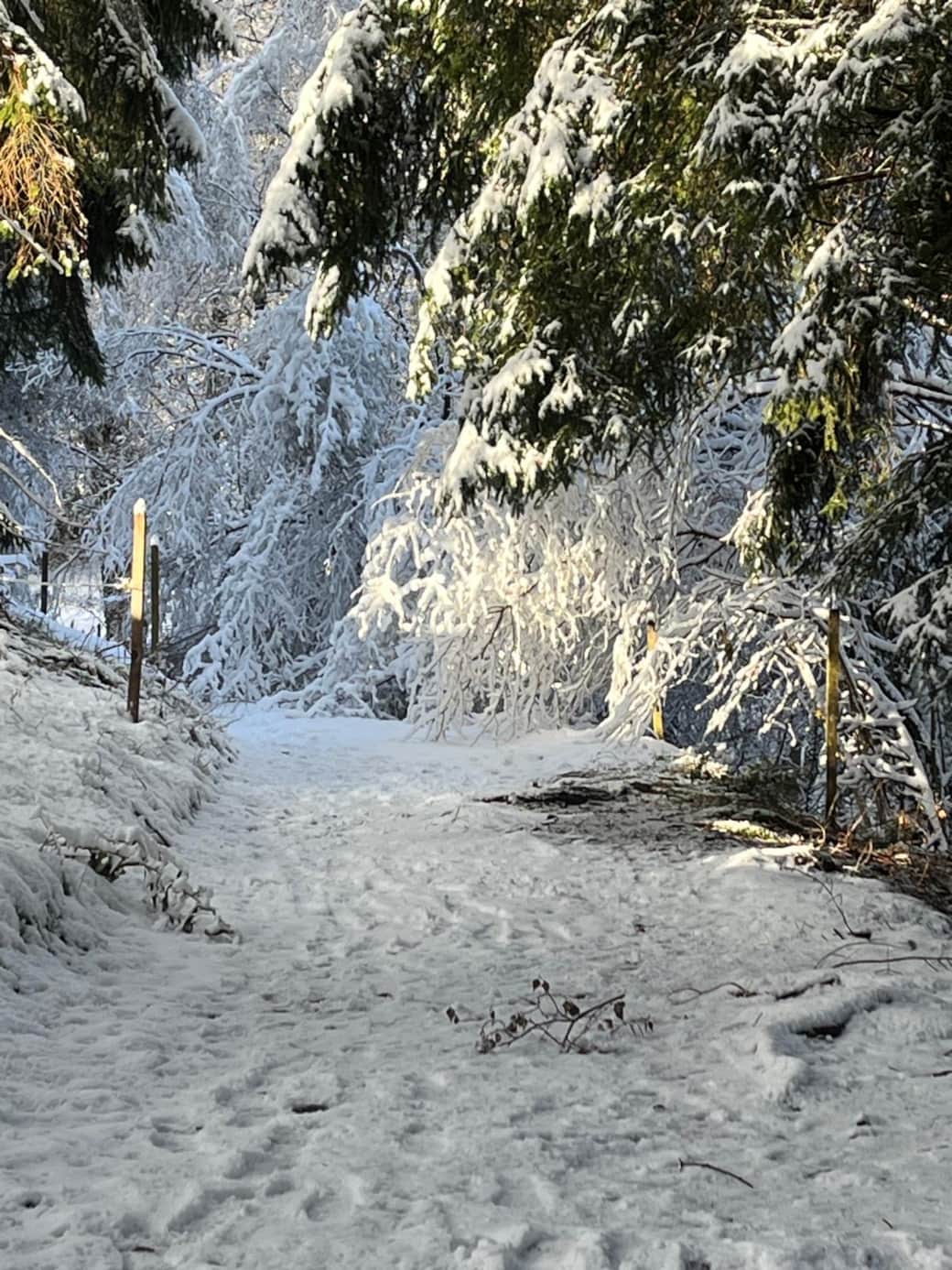 Winterweg Schwarzwald