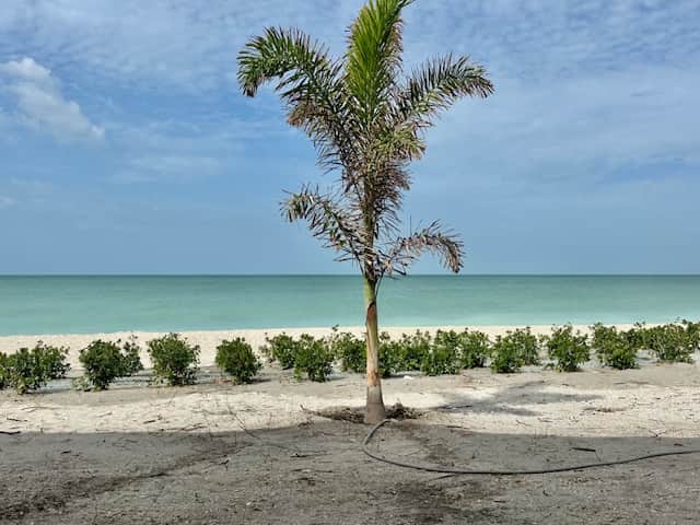 Beach View