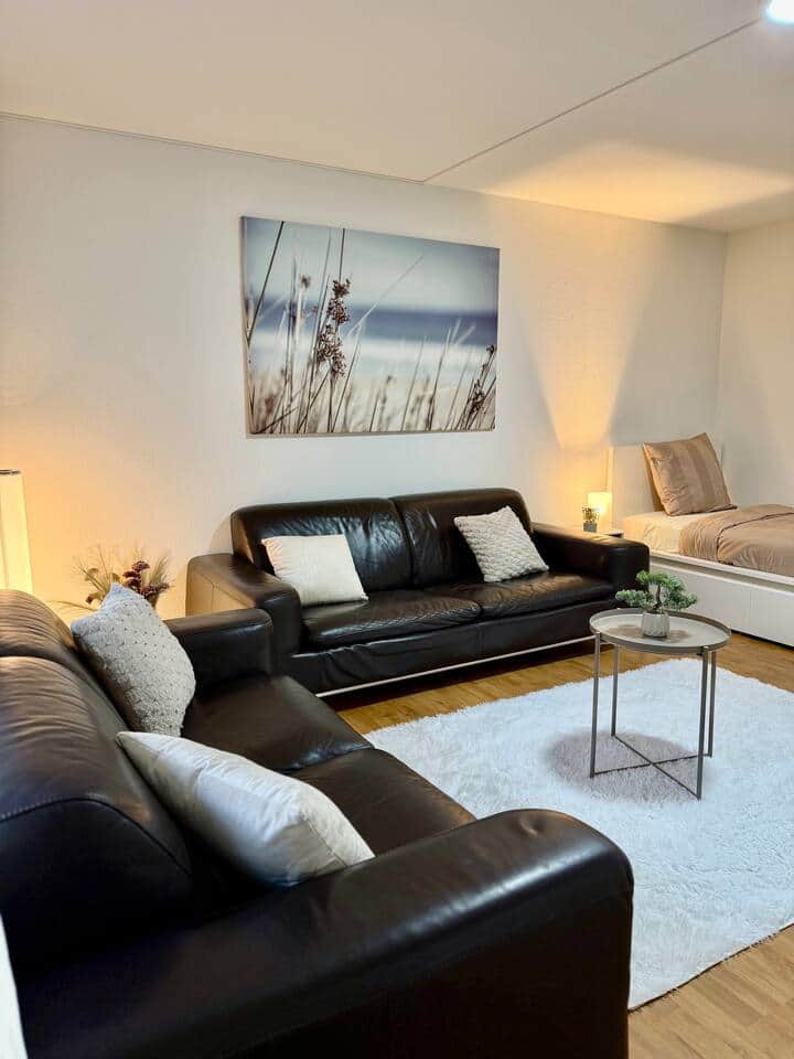 Wohnzimmer mit TV & Schlafmöglichkeit