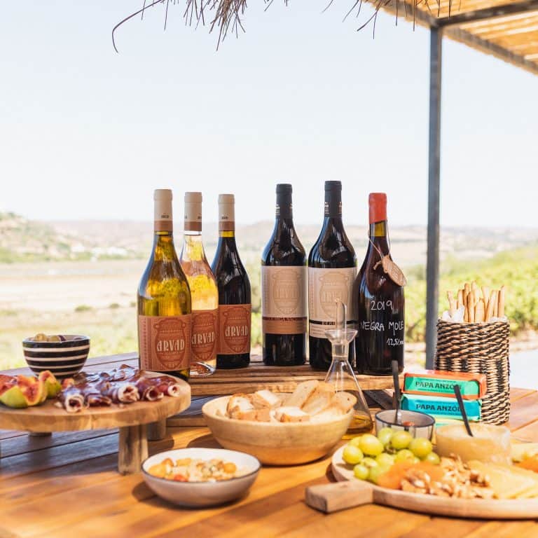 Prova de vinhos Arvad com produtos regionais