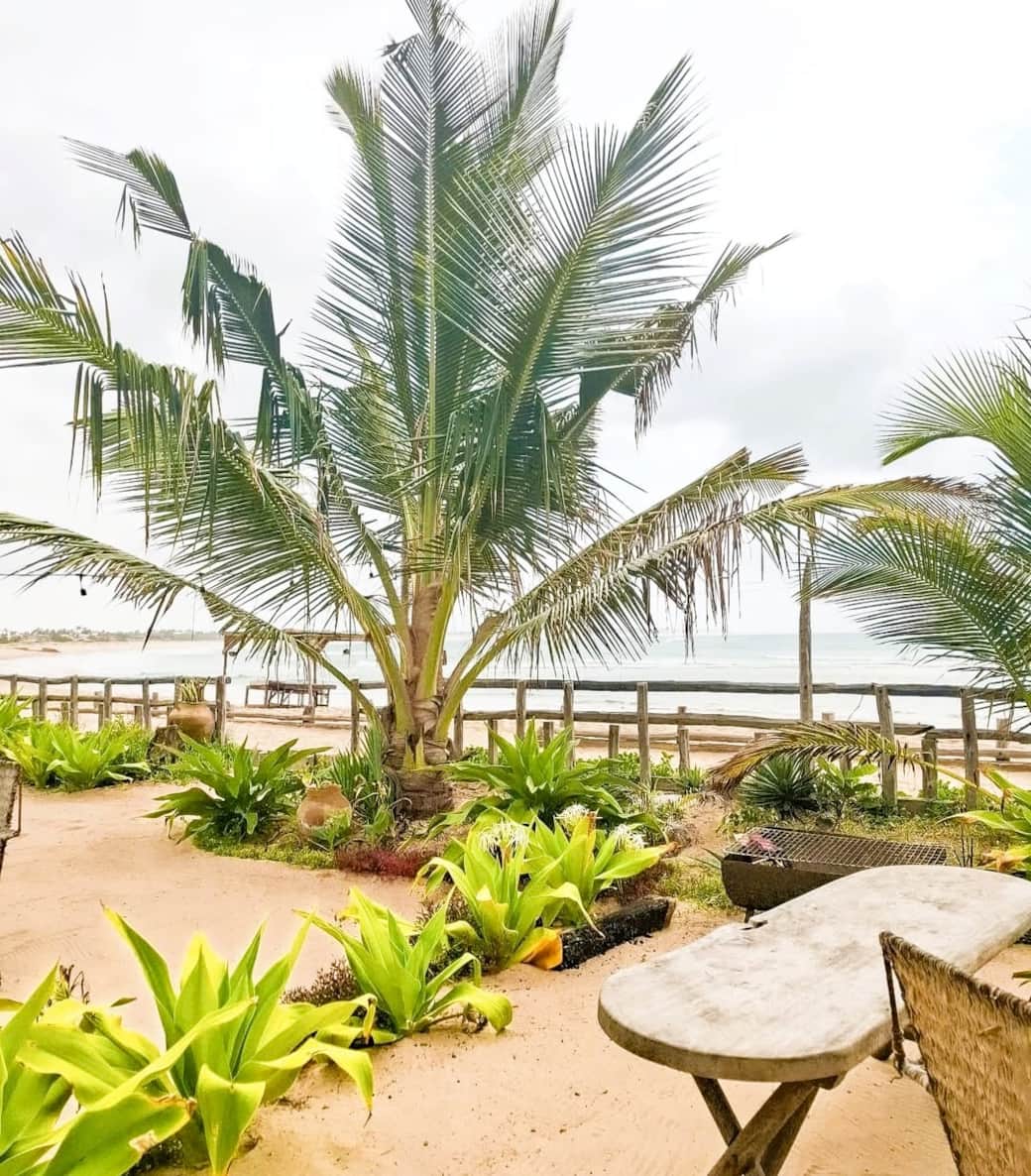 Your garden on the beach 