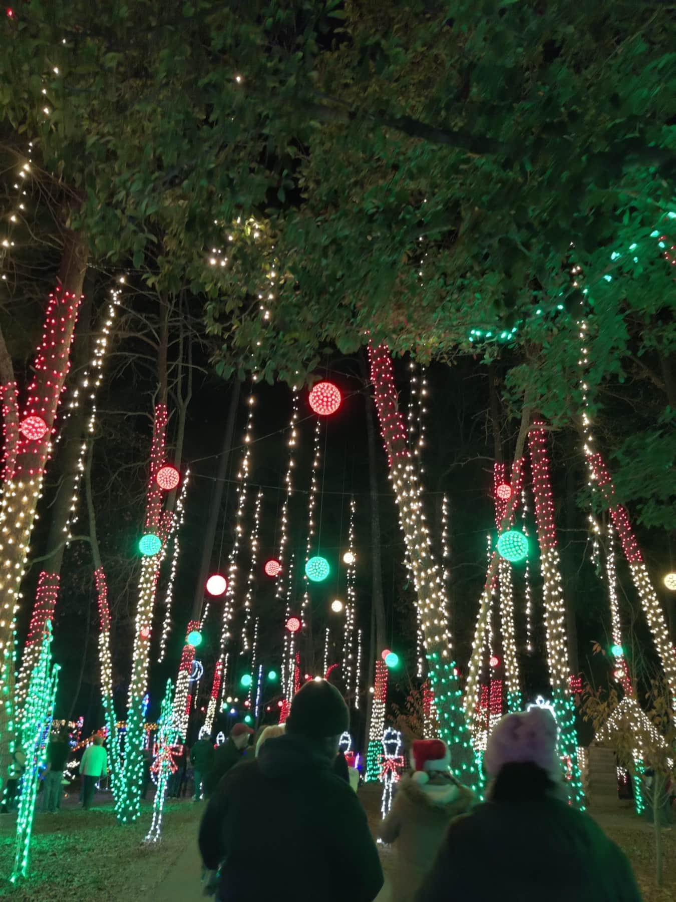 Christmas at the Falls