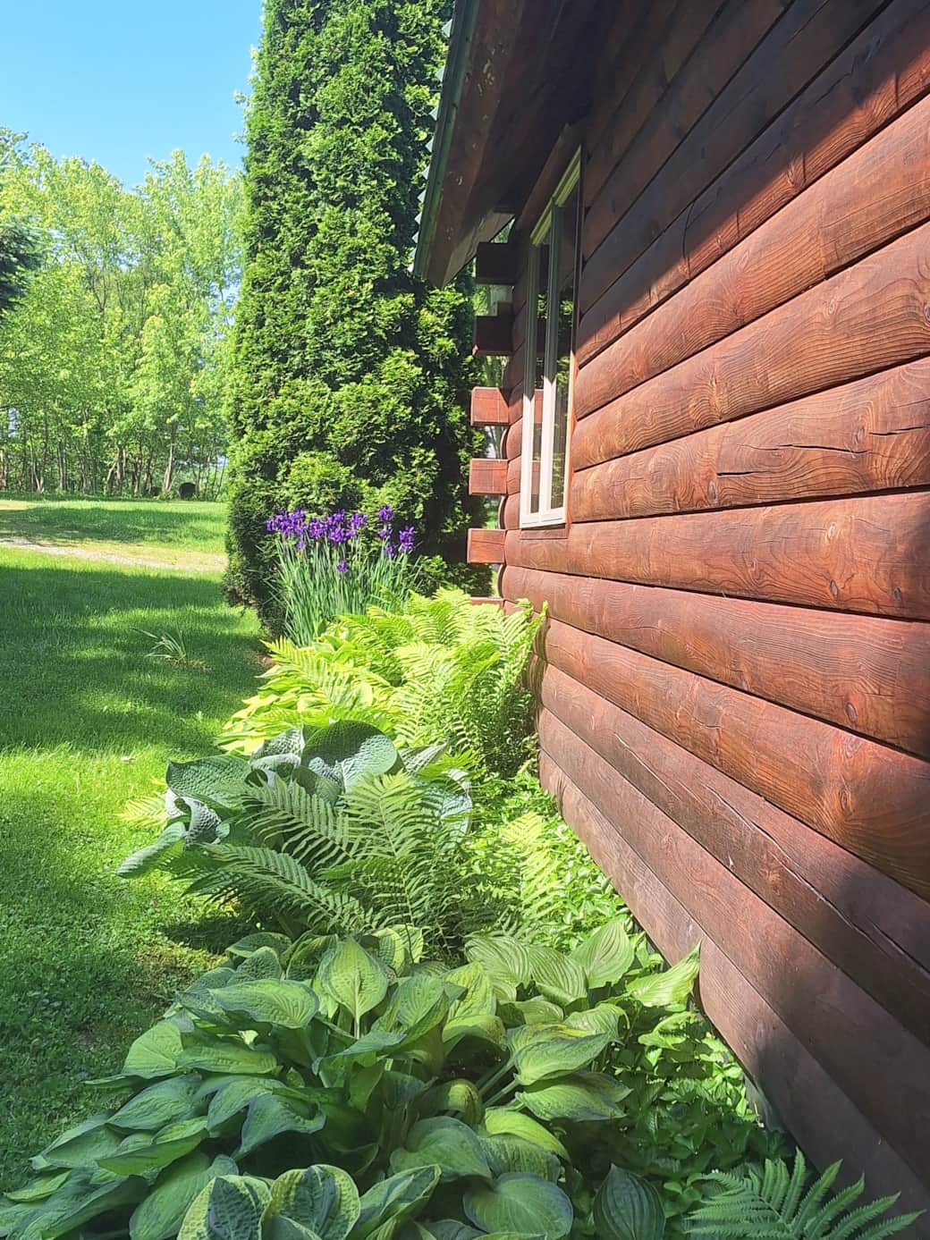 Spring Cabin