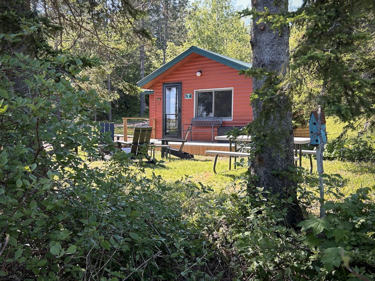 Cabin 3 tucked behind the trees on Croftville Road