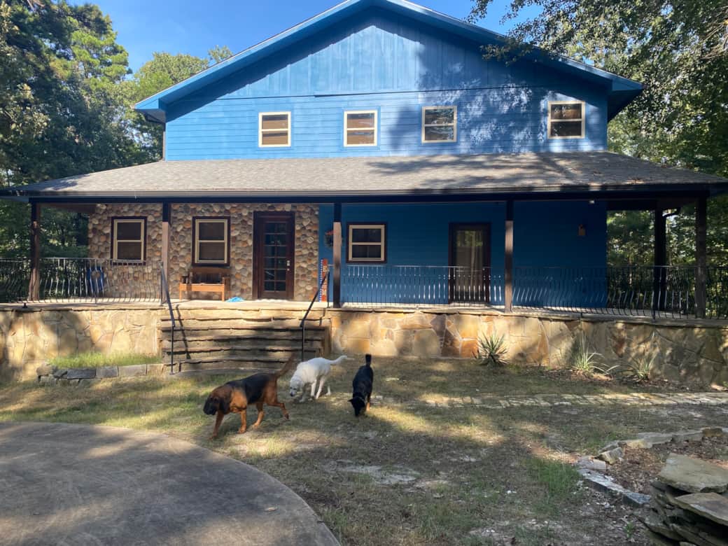 Dogs having fun sniffing around Dogs having fun sniffing around