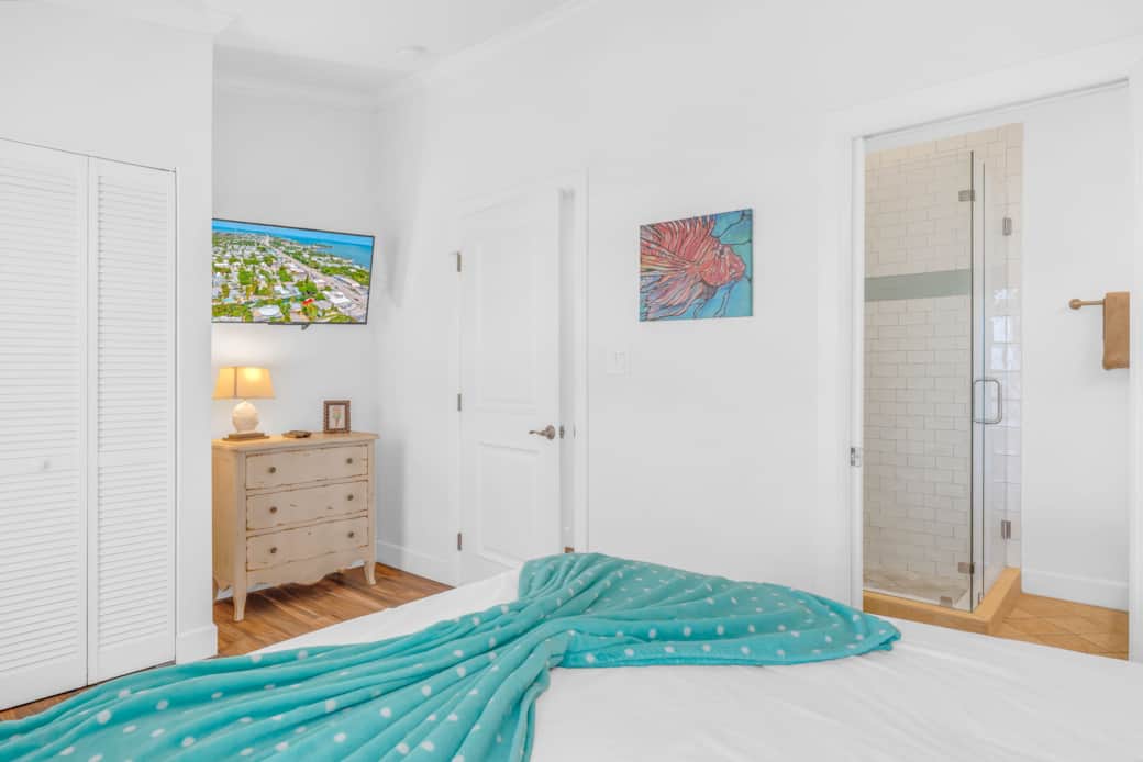 Primary bedroom, queen size and TV