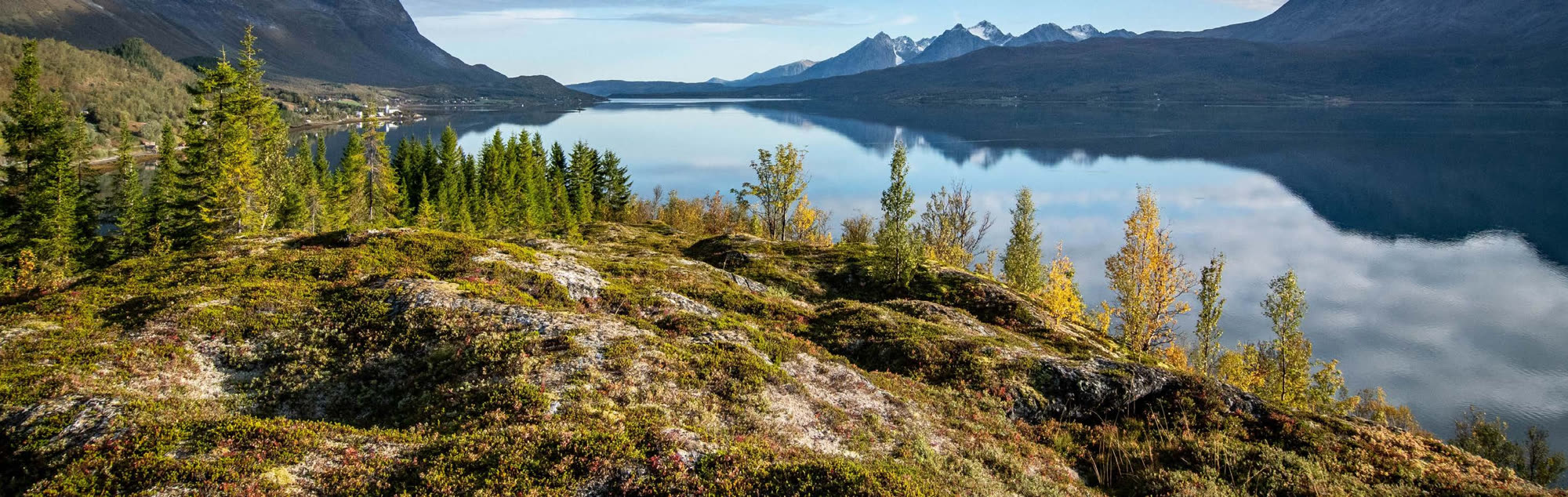 Tundra above the fjord in autumn