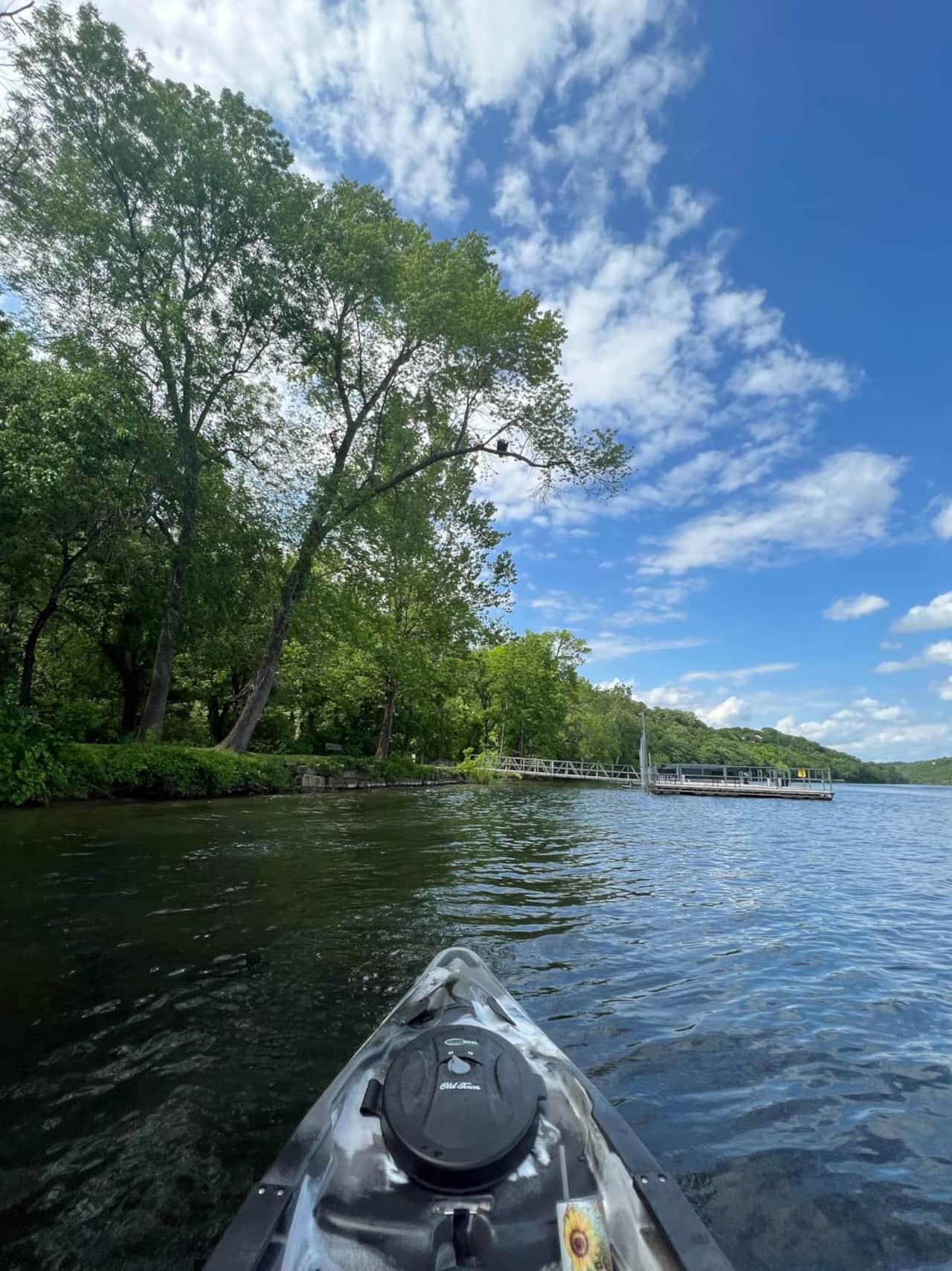 Lake Taneycomo  (Eagle Spotting)