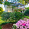 Rental image