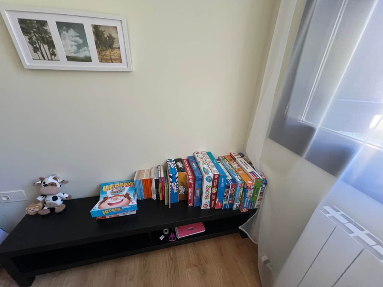 Juguetes y libros