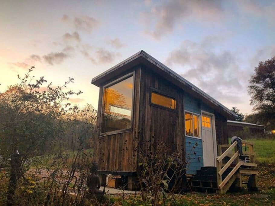 A window on a world of nature.