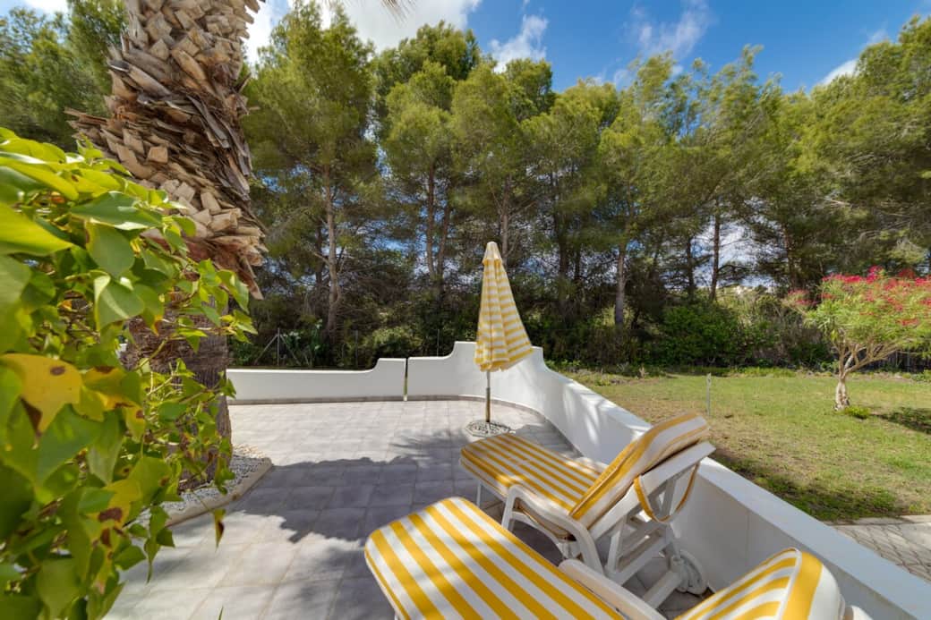 Patio, terrace, palm, garden view