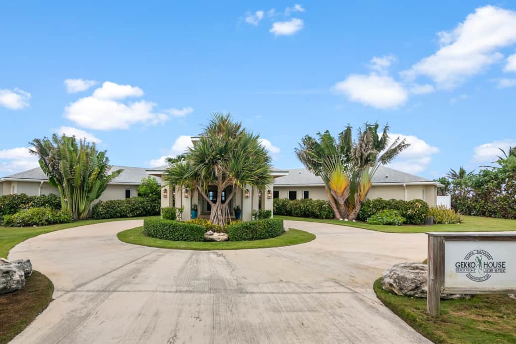 Arrival at Gekko House